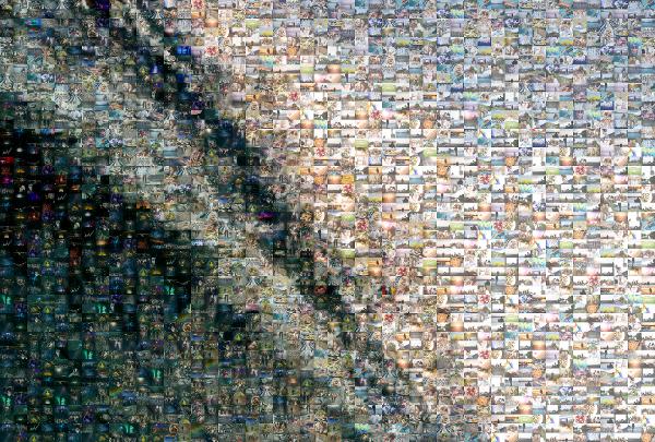 Wave photo mosaic