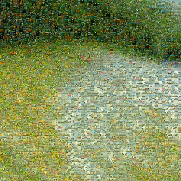 Lawn photo mosaic