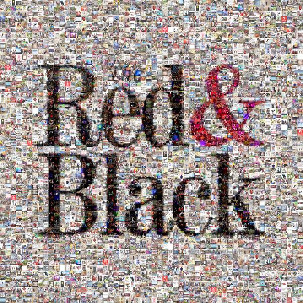 The Red & Black photo mosaic