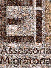 Logo Font Text Line Logo Parallel Graphics Brand Rectangle