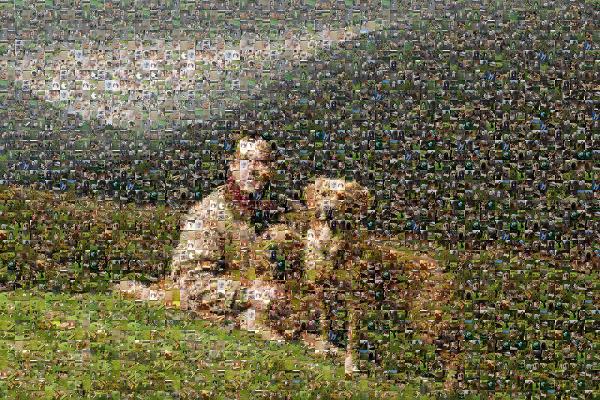 Monty Don photo mosaic