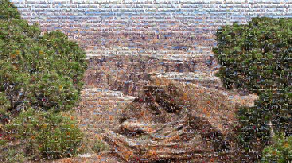 Canyonlands National Park photo mosaic