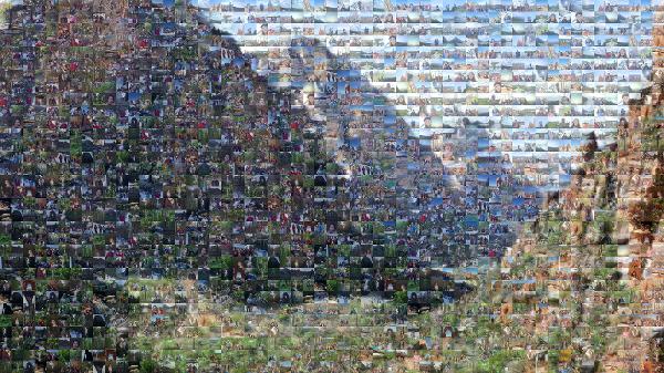 Zion National Park photo mosaic