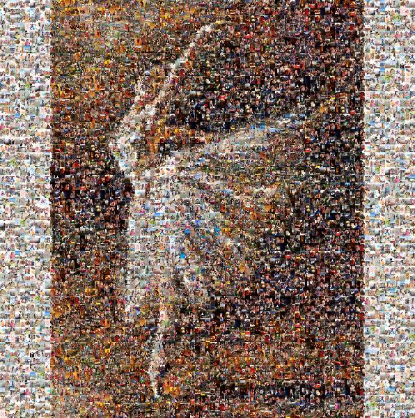 Dancer Tilting photo mosaic