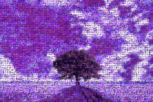Cloud photo mosaic