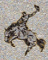 Mustang Rodeo Traditional sport Animal sports Clip art Bovine Bull riding Equestrian sport Illustration