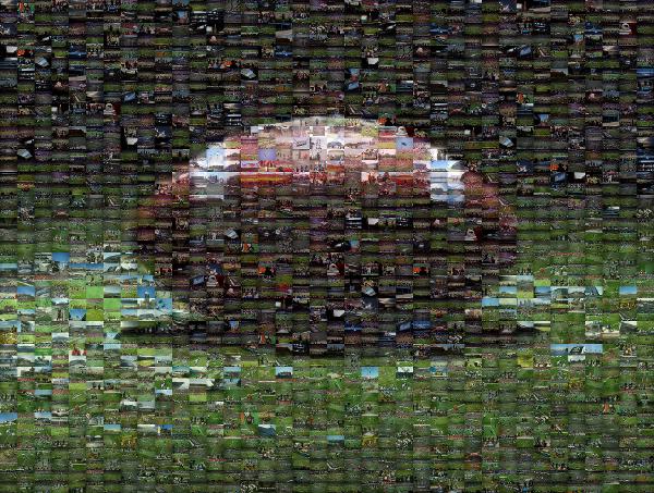 Football photo mosaic