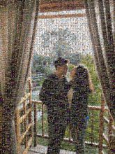 Window Curtain Interior design Textile Botany Window treatment Tree Room Plant
