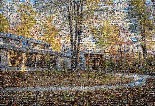 The Willow School photo mosaic