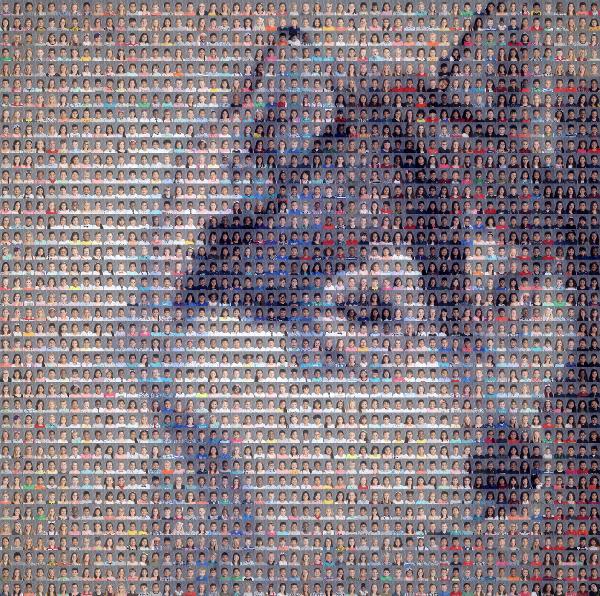 Siberian Husky photo mosaic