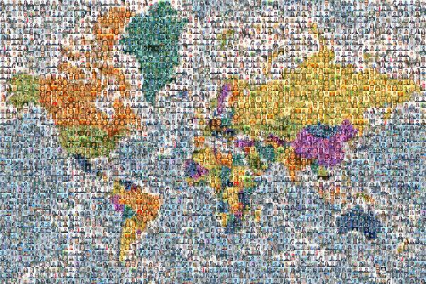 World photo mosaic