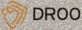 Droo Tactical Trading L.L.C Text Font Logo Trademark Brand Graphics
