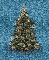 Christmas Day Party Christmas tree Colorado spruce balsam fir oregon pine Christmas decoration White pine Holiday ornament Christmas ornament shortleaf black spruce