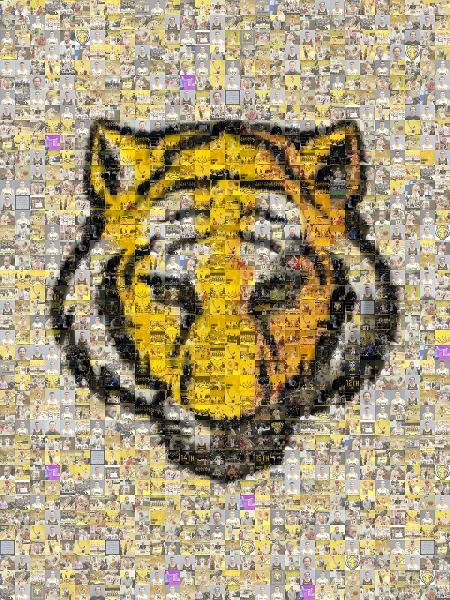 DePauw University photo mosaic