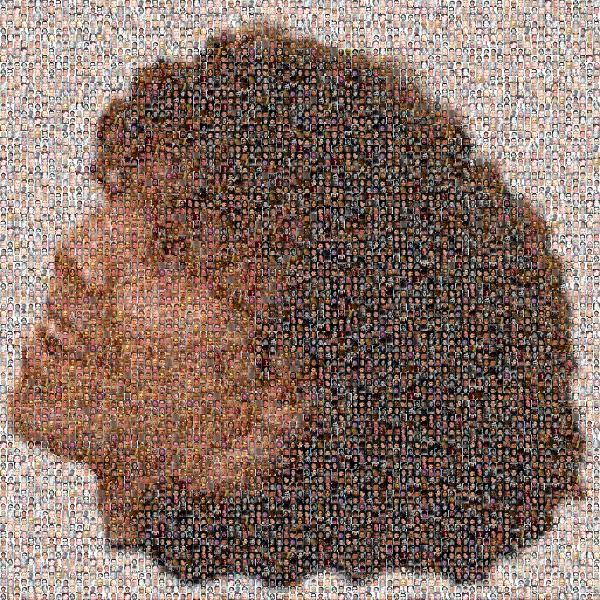 Head photo mosaic