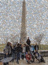 National Mall Obelisk Monument Landmark Tree Tourism Memorial Spring Rock National historic landmark Plant