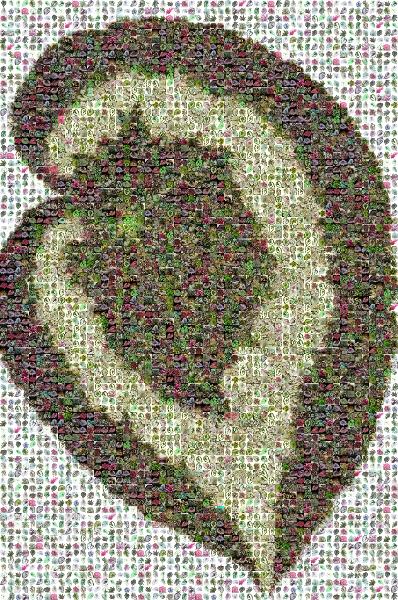 Leaf photo mosaic