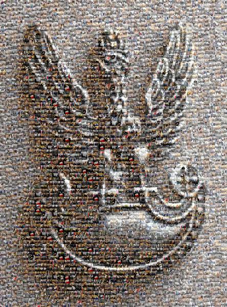 Eagle photo mosaic