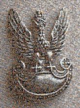 Military eagle Poland Wing Badge Emblem Fashion accessory Metal Symbol Crest