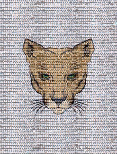 Whiskers photo mosaic