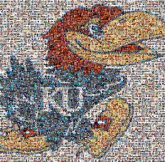 University of Kansas Kansas Jayhawks football American football University College Student Education Graphics Clip art Illustration Logo