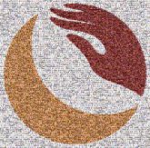 Crizanlizumab Crizanlizumab Novartis Sickle cell disease Food and Drug Administration Pharmaceutical industry Therapy Pharmaceutical drug Vaso-occlusive crisis Clinical trial Health Care Logo Clip art Symbol Crescent Graphics Circle