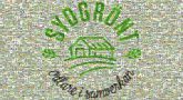 Sydgrönt Ekonomisk Förening Cosmetologia & Spa Logo Text Font Brand Trademark Graphics