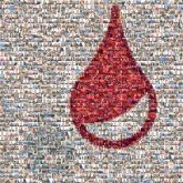 Lallemand Inc. Lallemand Inc. Cone Tree Drop Graphics Pear Plant Logo