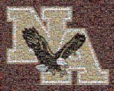 Eagle Logo Bird Golden eagle Bird of prey Wing Font Accipitriformes Accipitridae Falconiformes