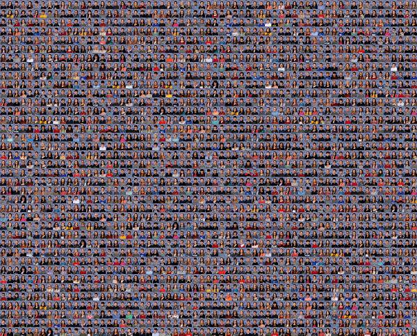 Computer mouse photo mosaic