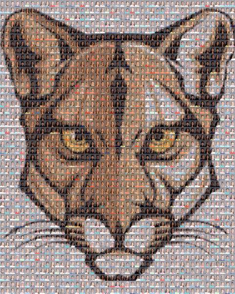 Cougar photo mosaic