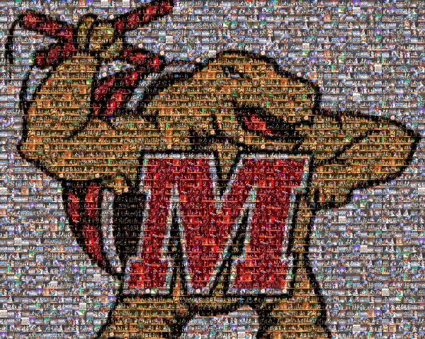 University of Maryland photo mosaic