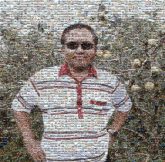 T-shirt T-shirt Botany Plant Fruit