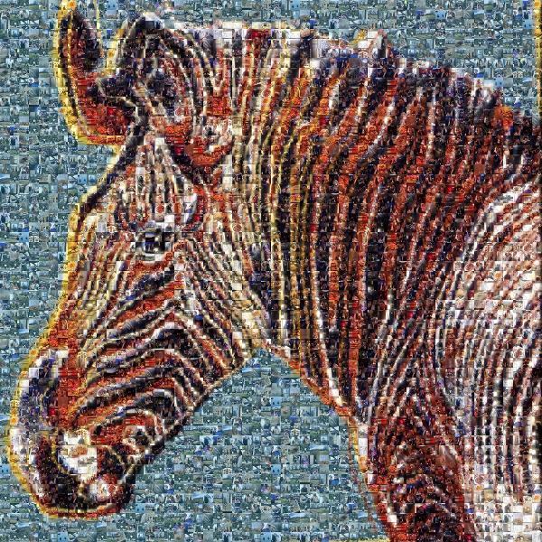 Zebra photo mosaic