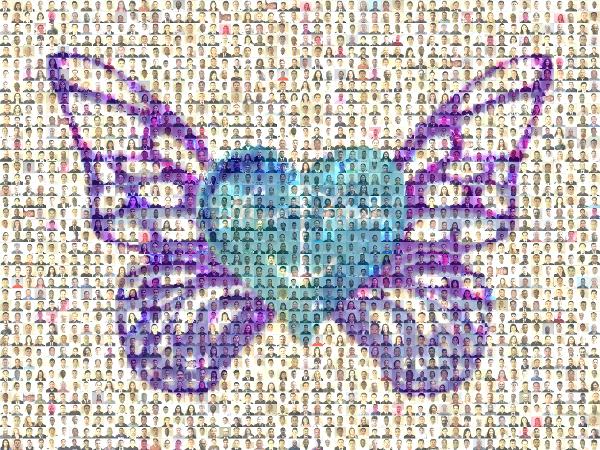 Brush-footed butterflies photo mosaic