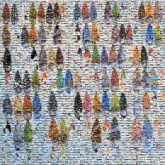 Art Work of art Art painting Artist Painting Symmetry Insect jewel beetles emperor moths