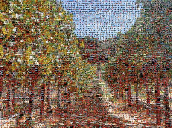 Vineyard photo mosaic