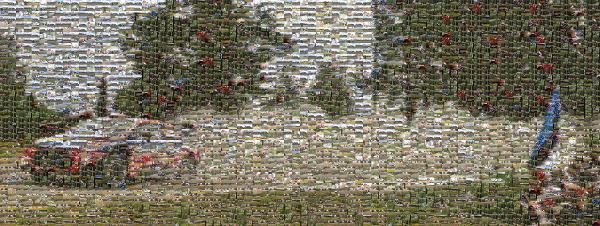 World rally championship photo mosaic