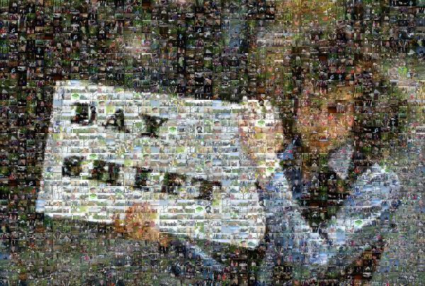 Bob Dylan photo mosaic