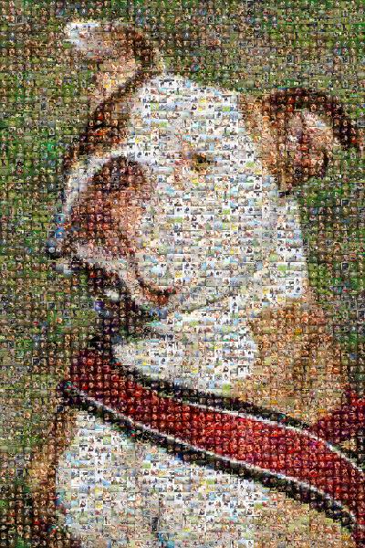 Olde English Bulldogge photo mosaic