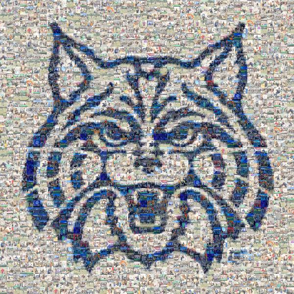 Arizona Wildcats men's basketball photo mosaic