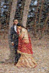 Bride Bride Wedding Photograph Wedding reception Romance Happiness Sari Formal wear Tradition People in nature Bridal Clothing Love Photo shoot Ceremony