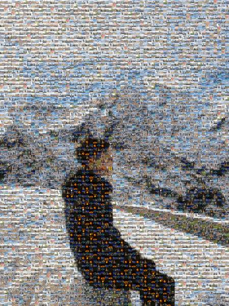 Alps photo mosaic