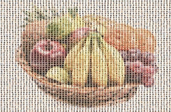 Fruit photo mosaic