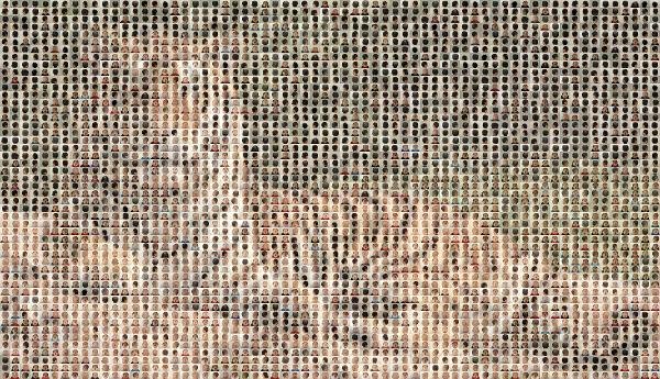 Tiger photo mosaic