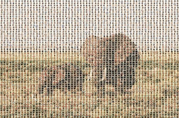 Elephant photo mosaic