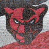 Art Carolina Panthers Petal High School Logo Eastern Illinois Panthers football American football Petal Middle School High school football Cartoon Orange Carnivore Mammal Felidae Small to medium-sized cats Red Creative arts Font