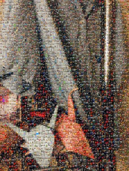 Joint photo mosaic