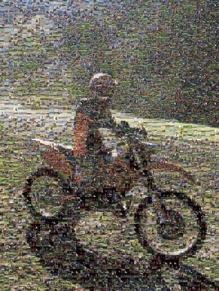 Vehicle photo mosaic