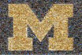 University of Michigan University of Michigan: School of Public Health Eastern Michigan University University of Michigan-Flint Michigan State University University Campus Public university Education School Yellow Text Font Logo Symbol Brand Electric blue Graphics